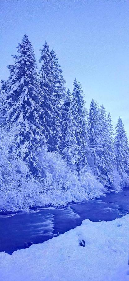 Родинна Оселя Slavske Bagian luar foto